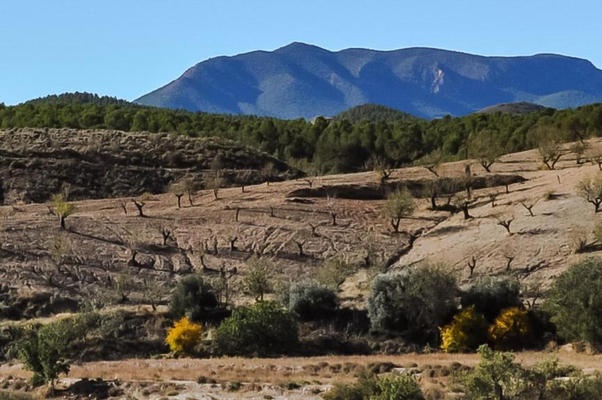 فيلا Casa La Sorpresa La Ermita المظهر الخارجي الصورة
