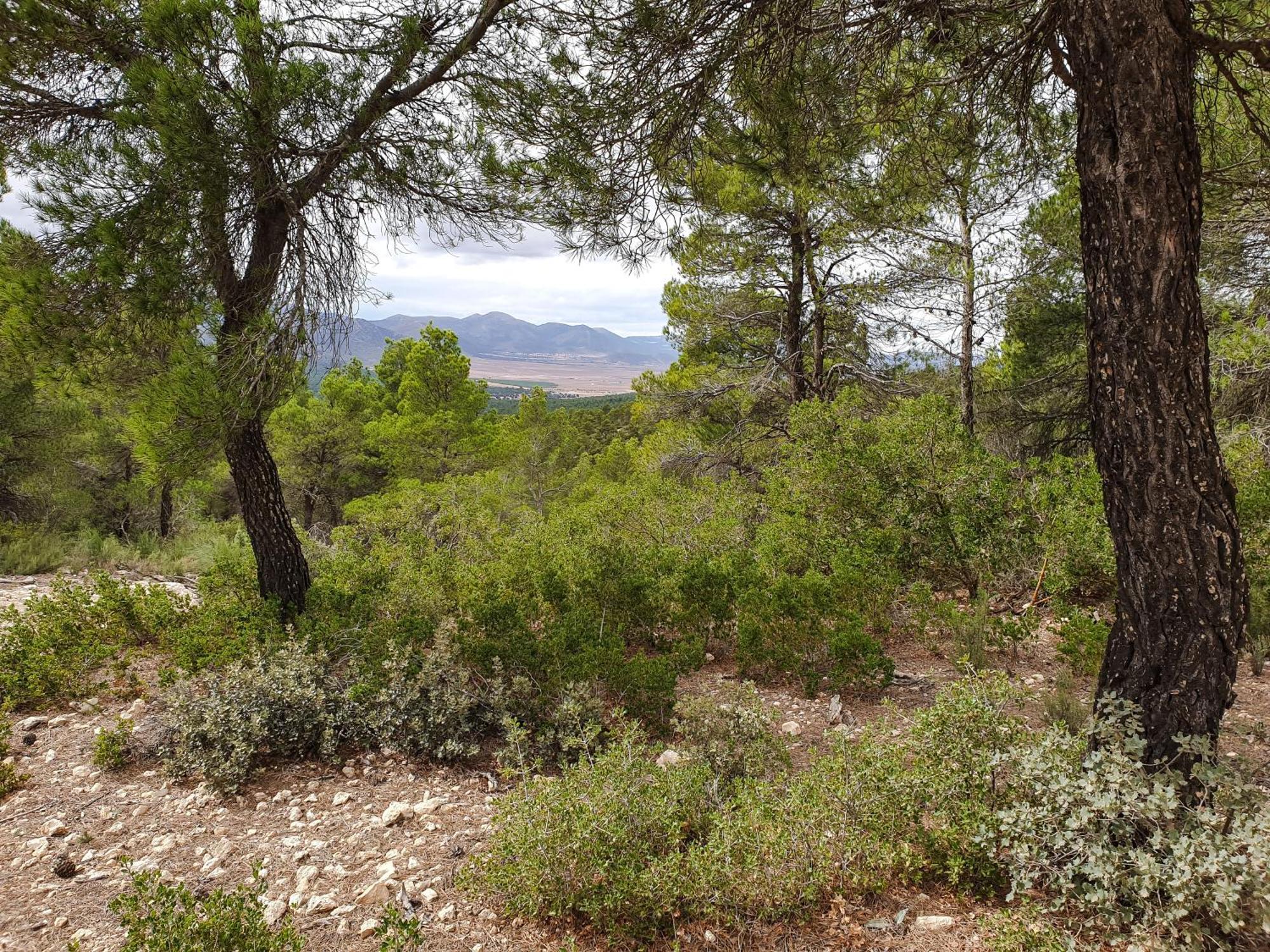 فيلا Casa La Sorpresa La Ermita المظهر الخارجي الصورة